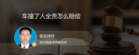 车撞了人全责怎么赔偿