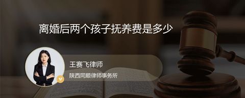 离婚后两个孩子抚养费是多少