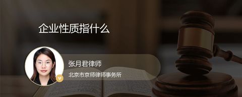 企业性质指什么
