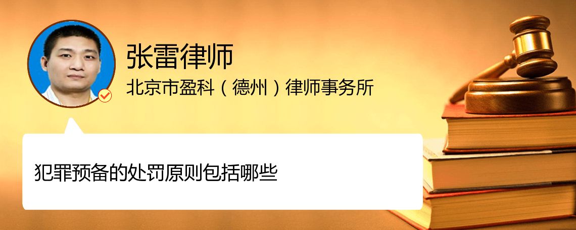 犯罪预备的处罚原则包括哪些