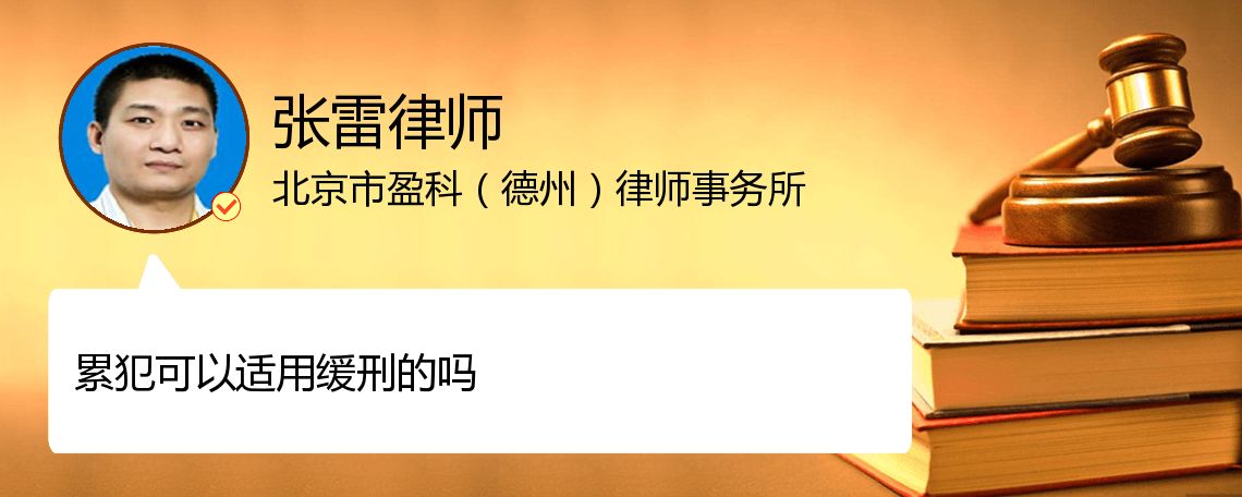 累犯可以适用缓刑的吗