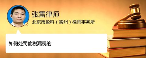 如何处罚偷税漏税的