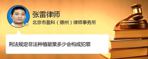 刑法规定非法种植罂粟多少会构成犯罪