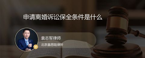 申请离婚诉讼保全条件是什么