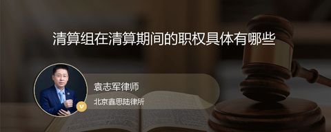 清算组在清算期间的职权具体有哪些