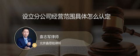 设立分公司经营范围具体怎么认定