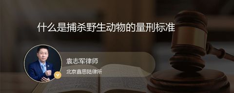 什么是捕杀野生动物的量刑标准