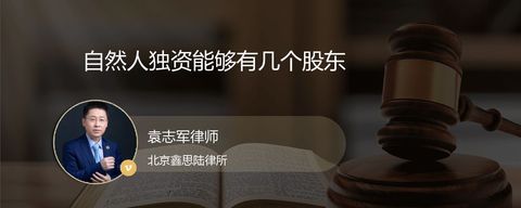 自然人独资能够有几个股东