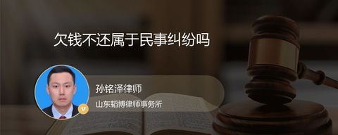 欠钱不还属于民事纠纷吗