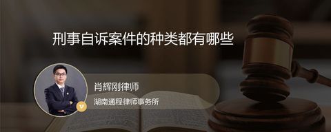 刑事自诉案件的种类都有哪些