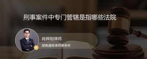 刑事案件中专门管辖是指哪些法院
