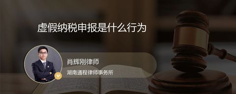 虚假纳税申报是什么行为