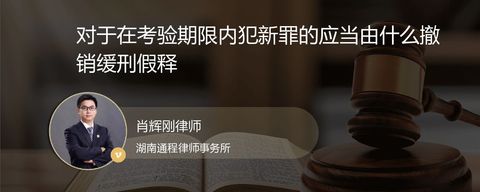 对于在考验期限内犯新罪的应当由什么撤销缓刑假释
