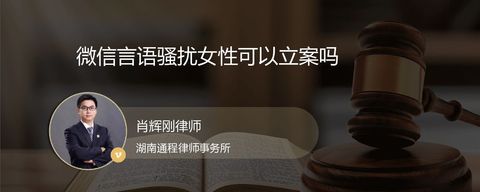 微信言语骚扰女性可以立案吗