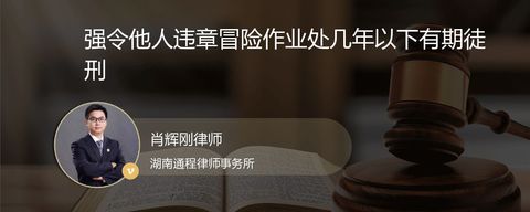 强令他人违章冒险作业处几年以下有期徒刑