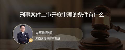 刑事案件二审开庭审理的条件有什么