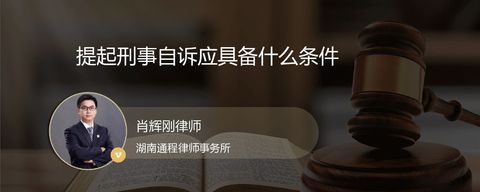 提起刑事自诉应具备什么条件