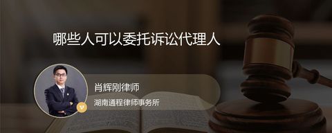 哪些人可以委托诉讼代理人