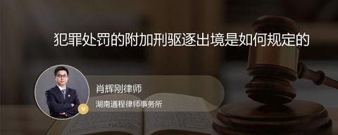 犯罪处罚的附加刑驱逐出境是如何规定的