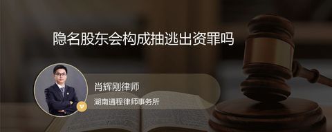 隐名股东会构成抽逃出资罪吗