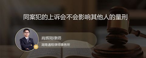 同案犯的上诉会不会影响其他人的量刑