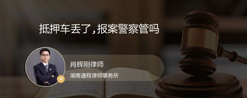 抵押车丢了,报案警察管吗