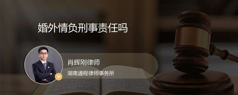 婚外情负刑事责任吗