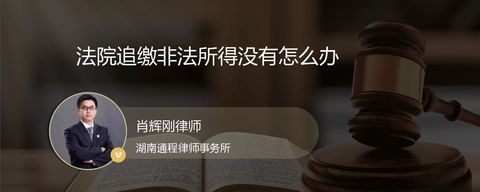 法院追缴非法所得没有怎么办