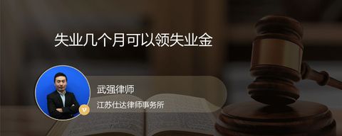 失业几个月可以领失业金