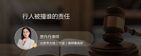 行人被撞谁的责任