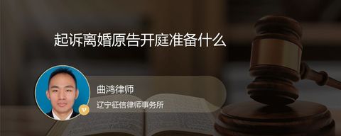 起诉离婚原告开庭准备什么