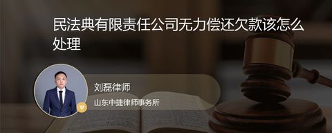 民法典有限责任公司无力偿还欠款该怎么处理