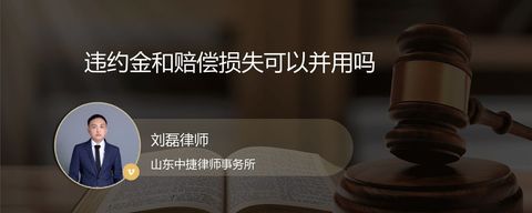 违约金和赔偿损失可以并用吗