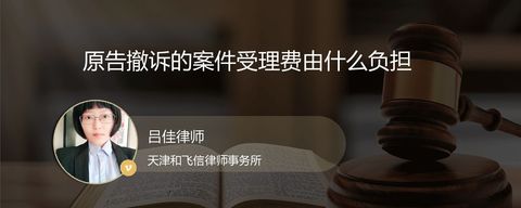 原告撤诉的案件受理费由什么负担？